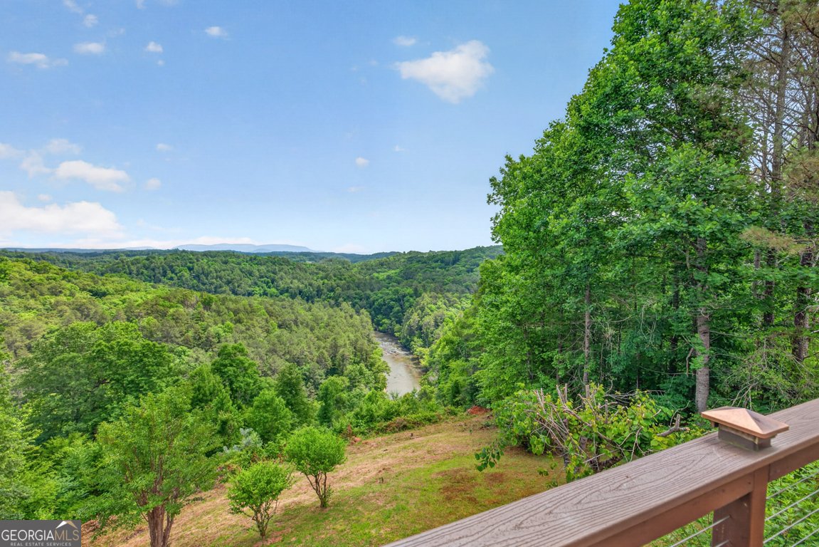 95 Scenic Way Ellijay - Photo 53