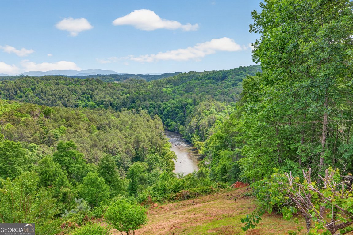 95 Scenic Way Ellijay - Photo 54