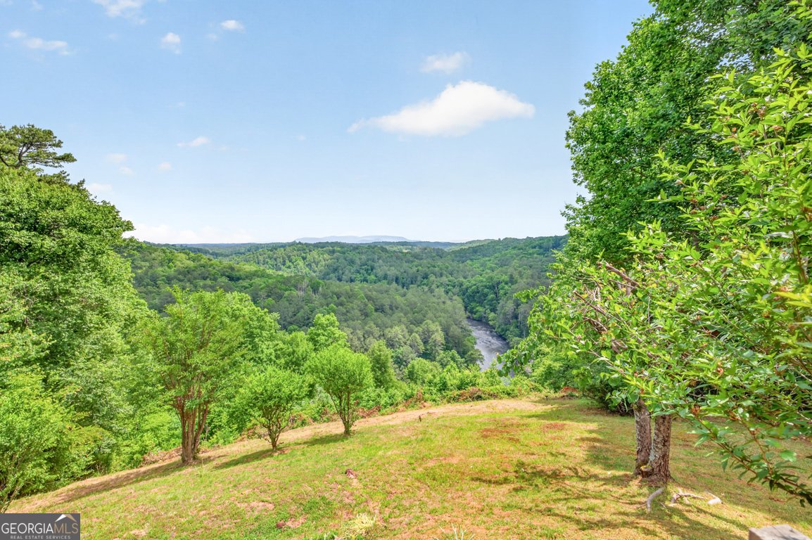 95 Scenic Way Ellijay - Photo 55