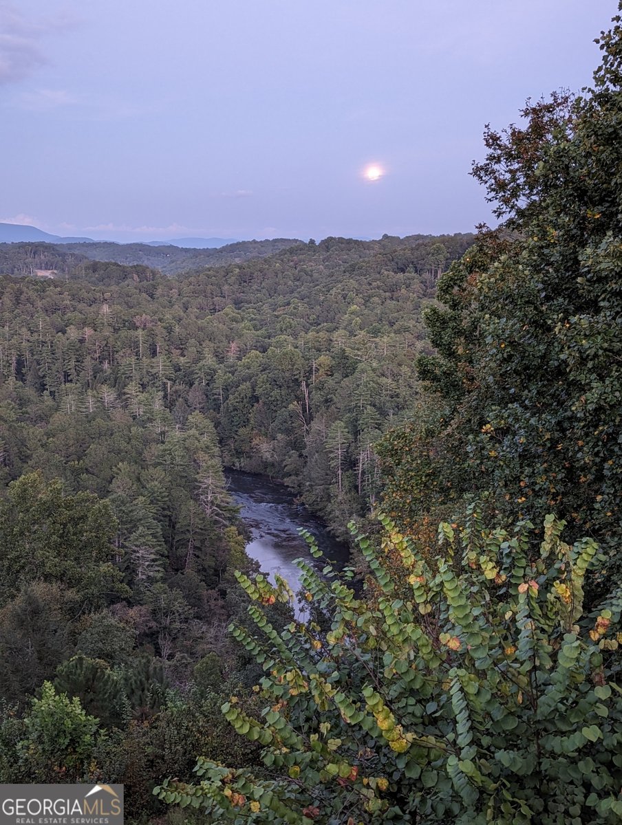 95 Scenic Way Ellijay - Photo 72