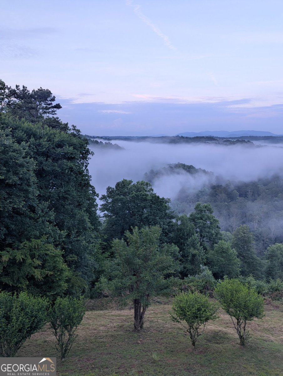 95 Scenic Way Ellijay - Photo 73