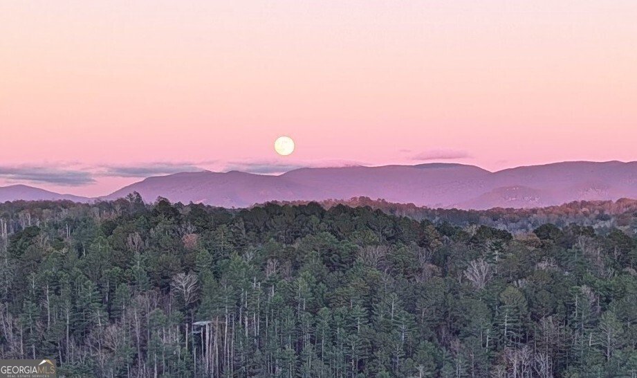 95 Scenic Way Ellijay - Photo 74