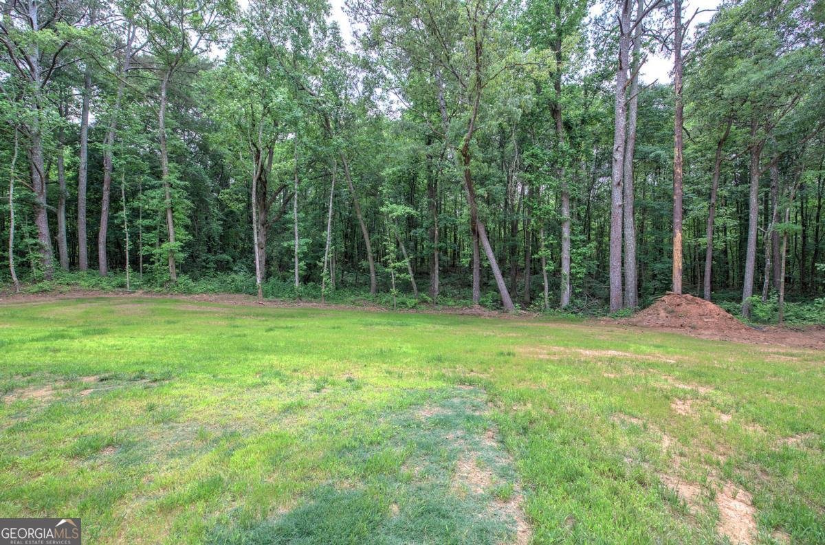 4142 Lovvorn Road Carrollton - Photo 51