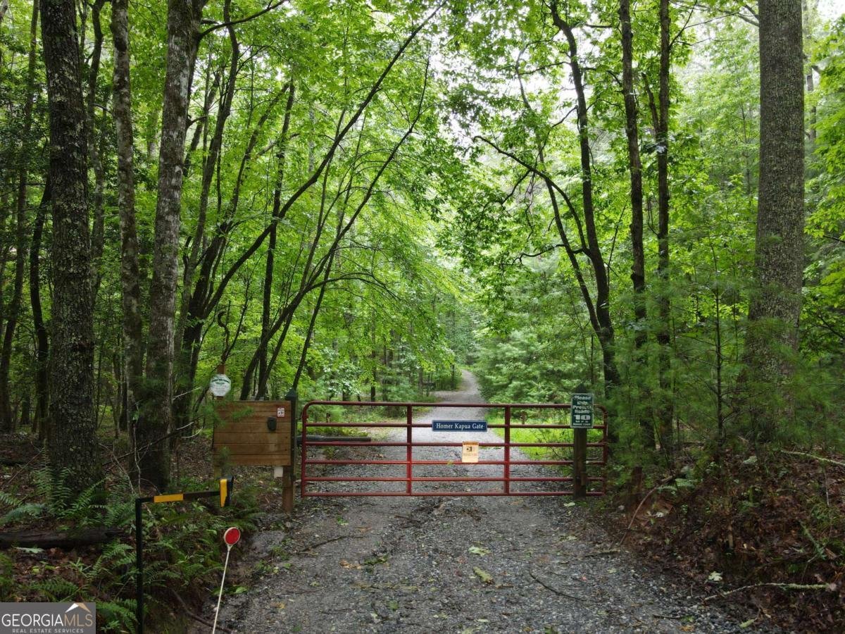 214 Sourwood Drive Blue Ridge - Photo 42