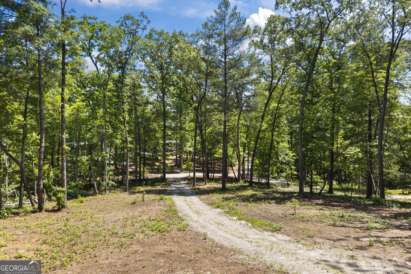 484 Mountain Stream Lane Lakemont - Photo 12