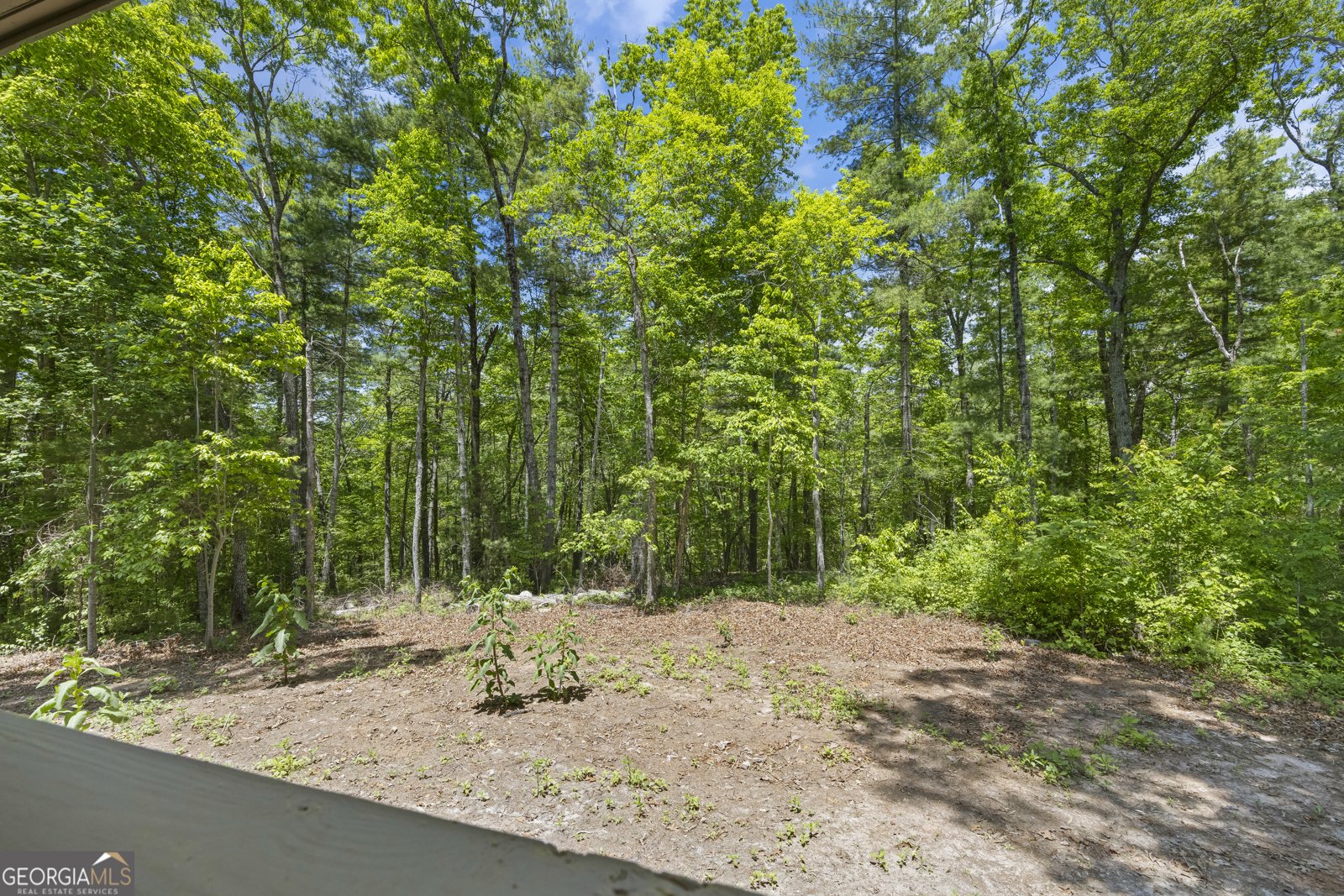 484 Mountain Stream Lane Lakemont - Photo 91