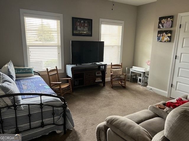 19 Chatham Court Williamson - Photo 39