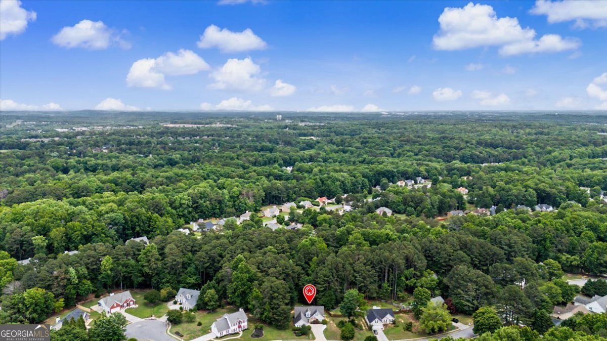 2575 Hamilton Parc Lane Buford - Photo 28