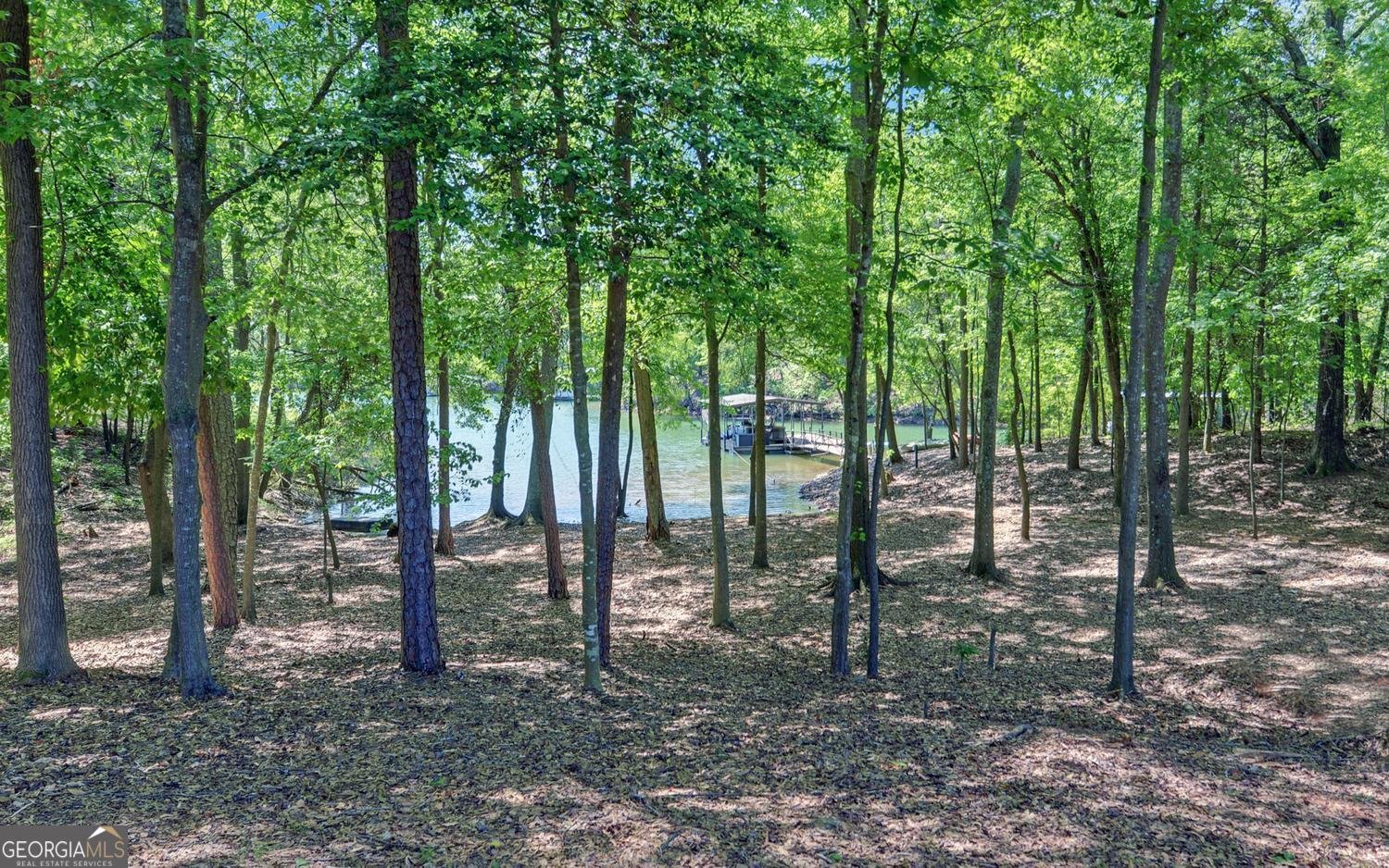 280 Hidden Point Road Hartwell - Photo 14