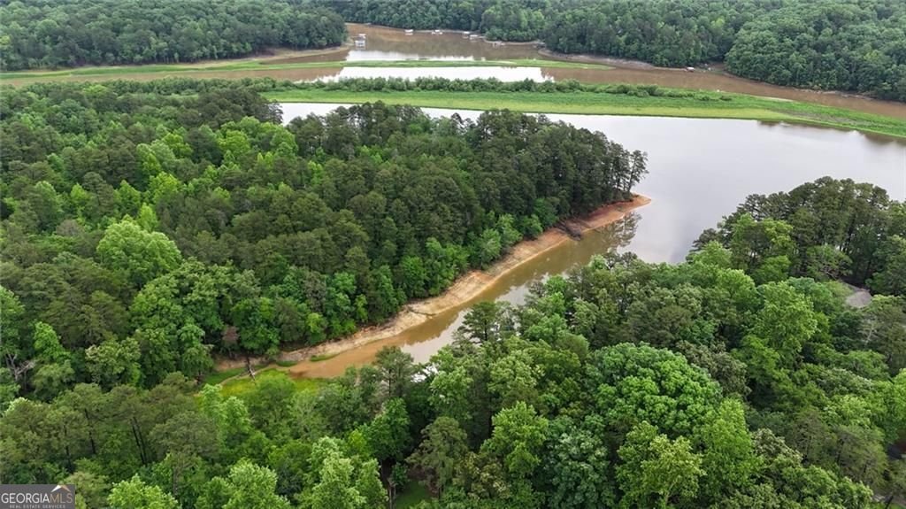 238 Shore Drive Dahlonega - Photo 23