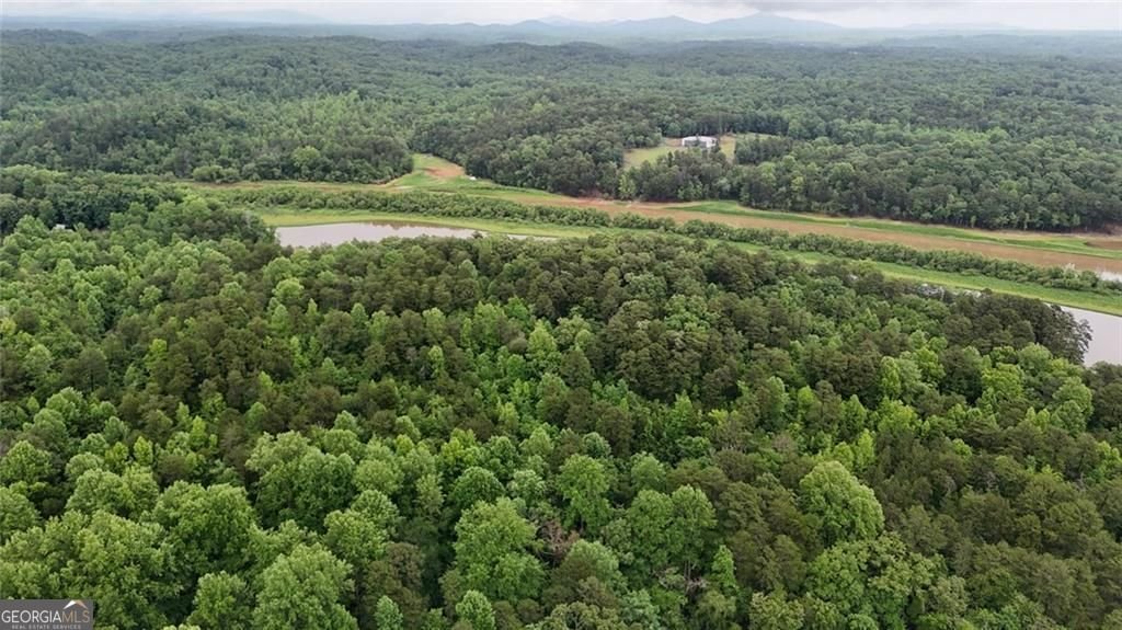 238 Shore Drive Dahlonega - Photo 24