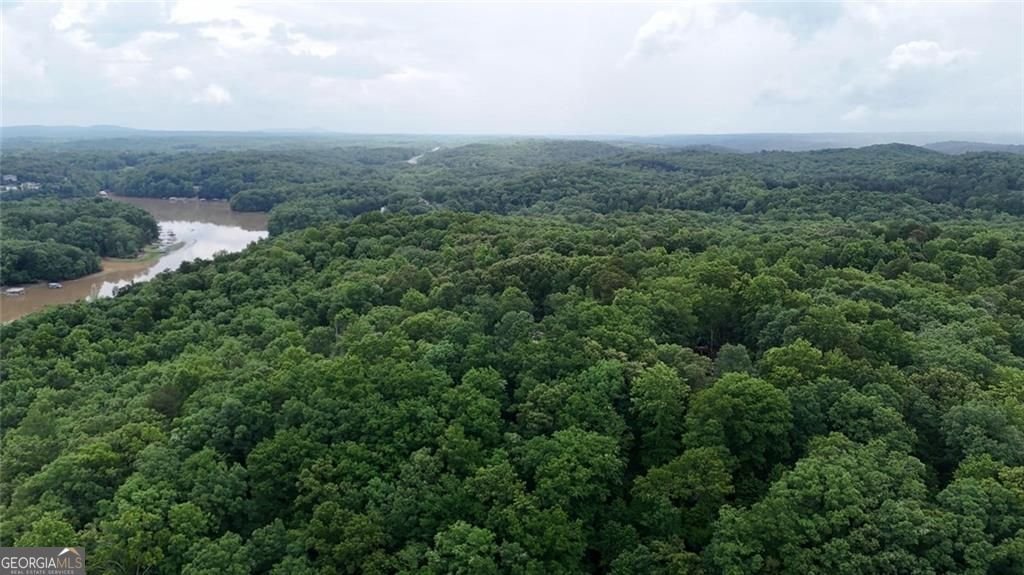 238 Shore Drive Dahlonega - Photo 26
