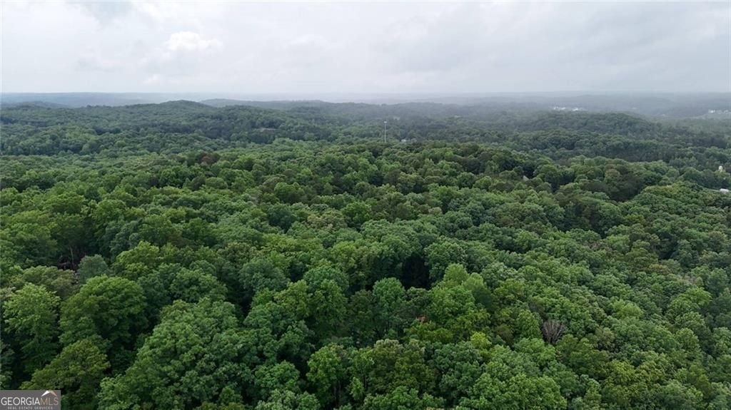 238 Shore Drive Dahlonega - Photo 27