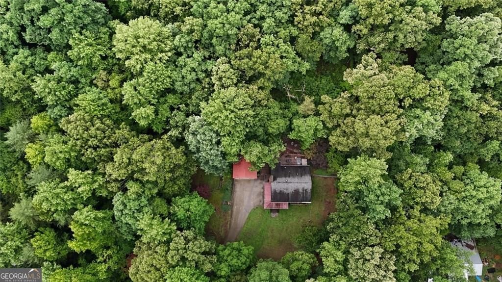 238 Shore Drive Dahlonega - Photo 28