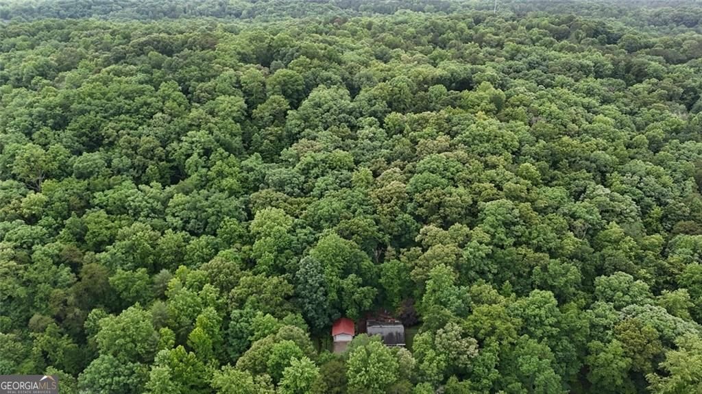 238 Shore Drive Dahlonega - Photo 29
