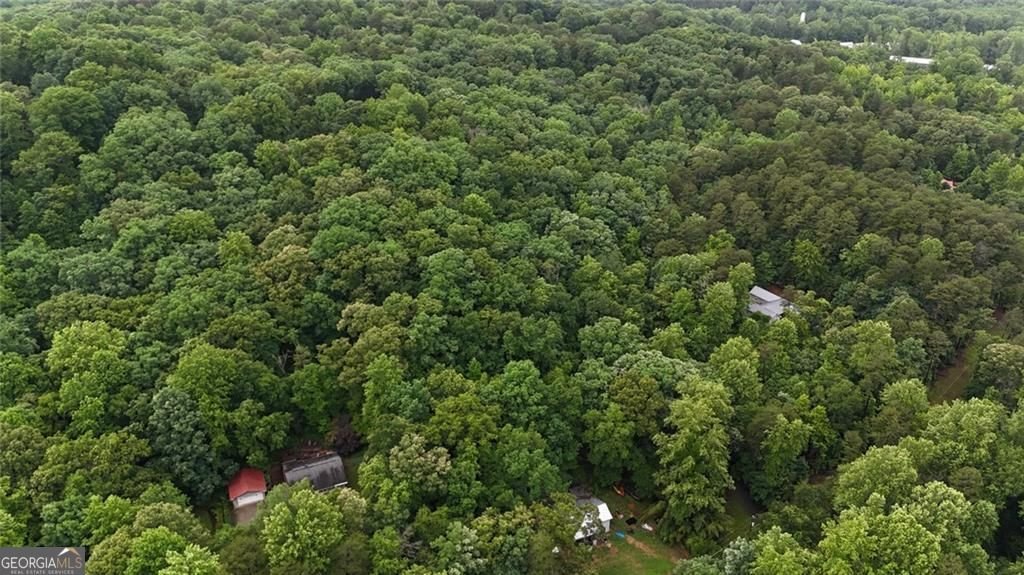 238 Shore Drive Dahlonega - Photo 30