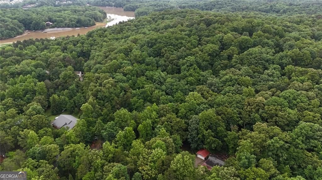 238 Shore Drive Dahlonega - Photo 31