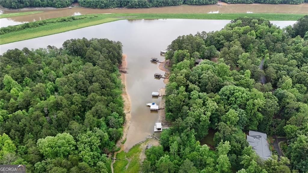 238 Shore Drive Dahlonega - Photo 32