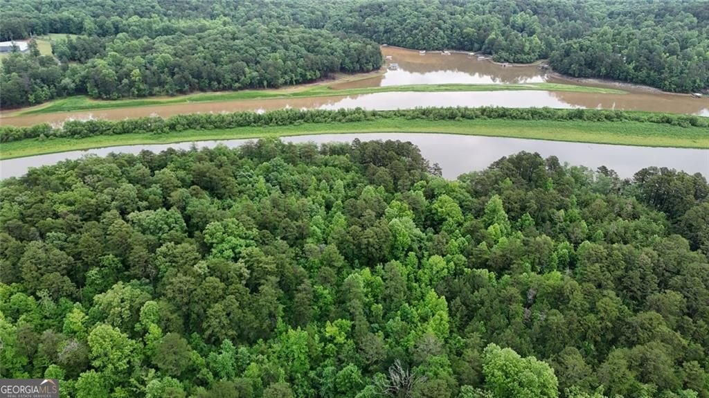 238 Shore Drive Dahlonega - Photo 33