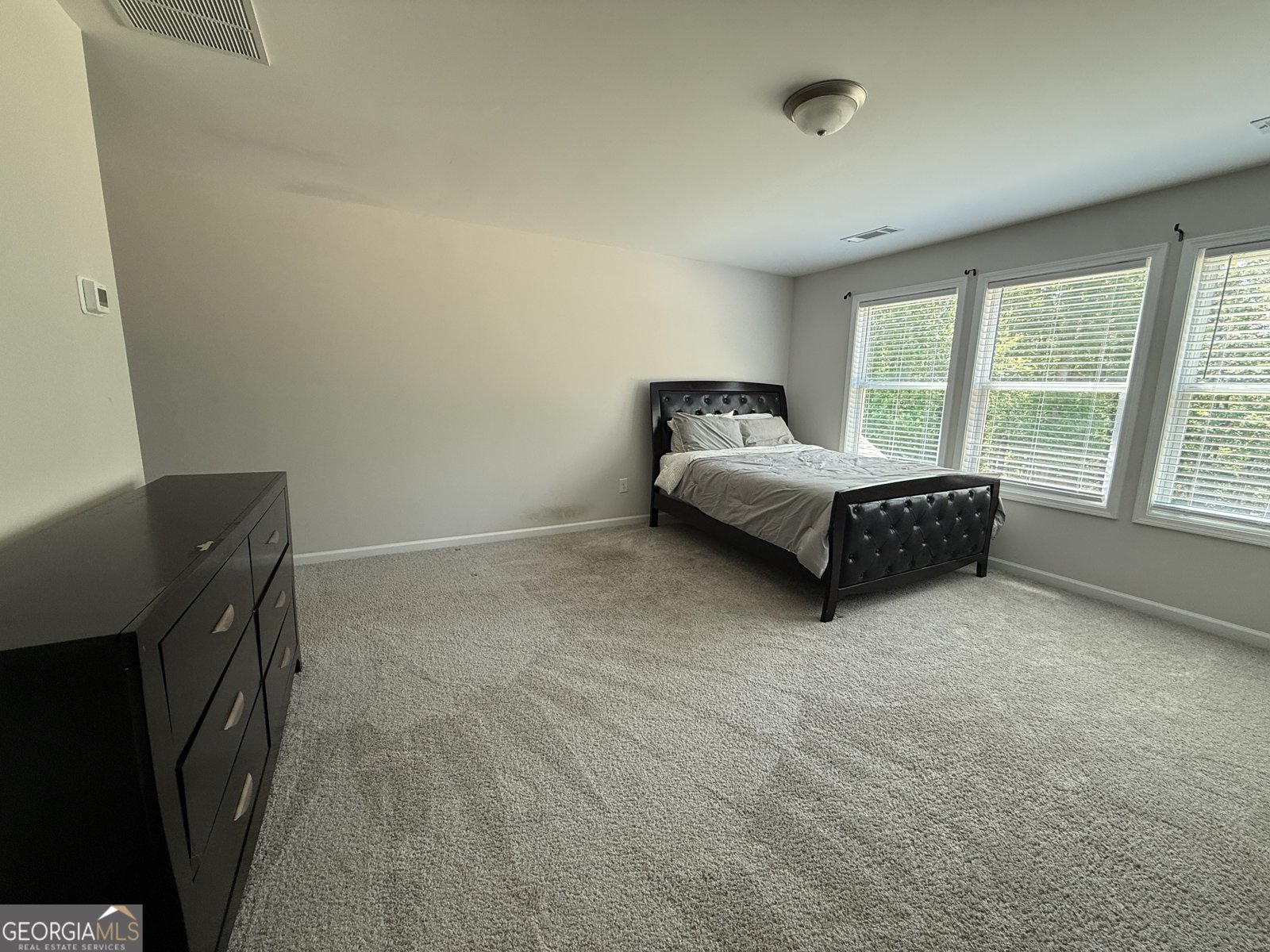358 Mulberry Road Winder - Photo 9