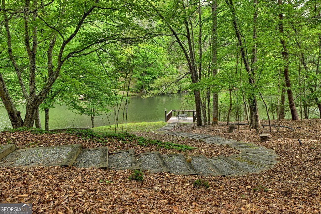 354 Kaely Drive Mineral Bluff - Photo 51