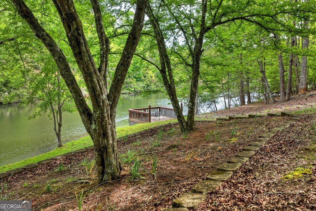 354 Kaely Drive Mineral Bluff - Photo 53
