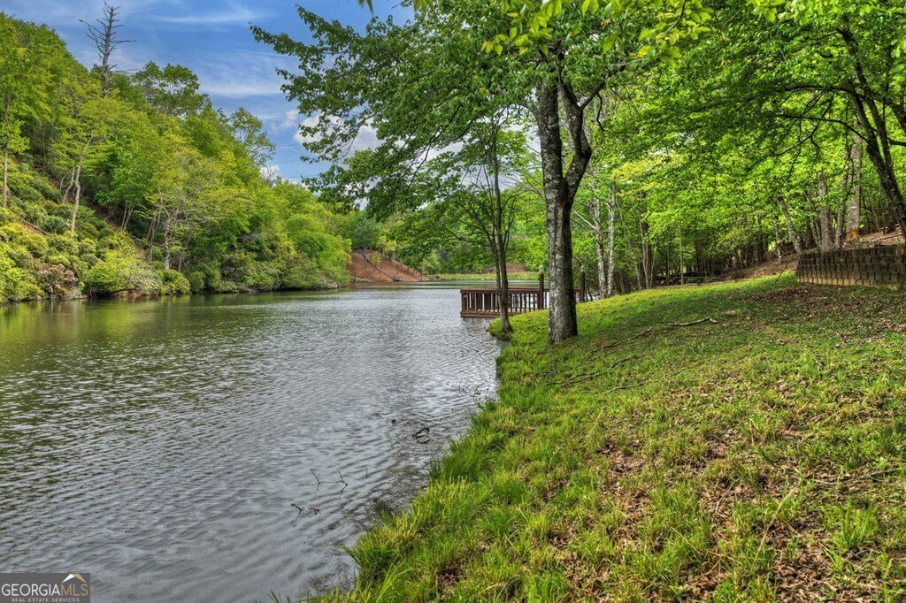 354 Kaely Drive Mineral Bluff - Photo 54