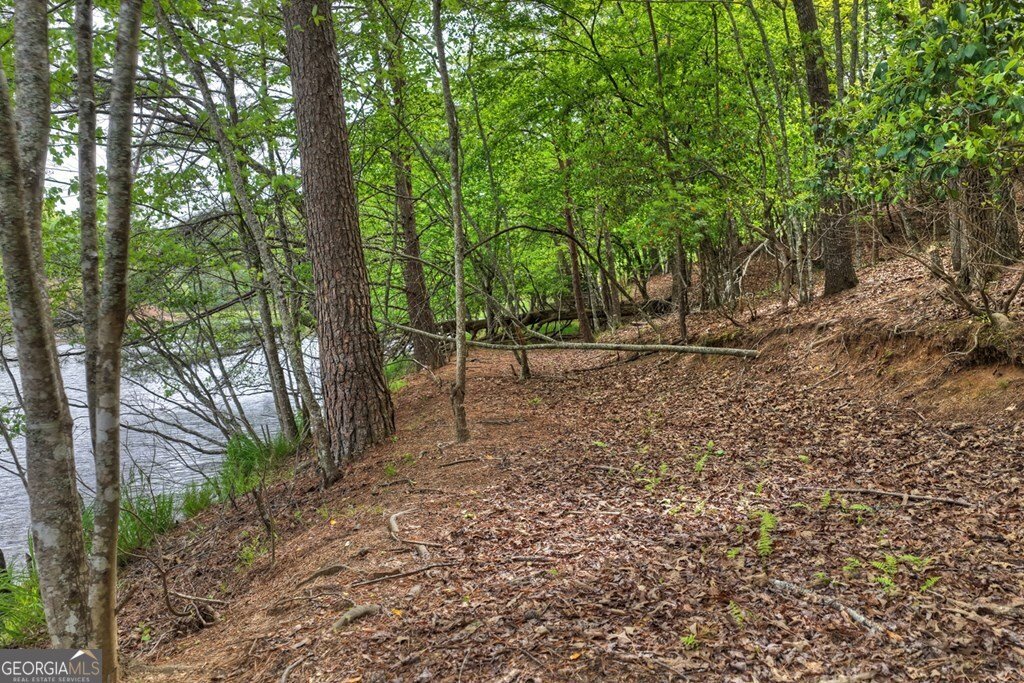 354 Kaely Drive Mineral Bluff - Photo 55