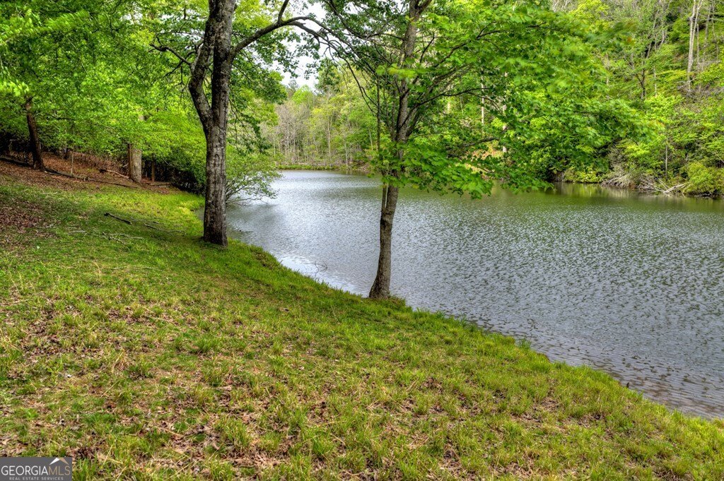 354 Kaely Drive Mineral Bluff - Photo 58