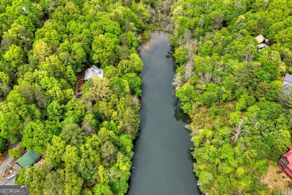 354 Kaely Drive Mineral Bluff - Photo 62