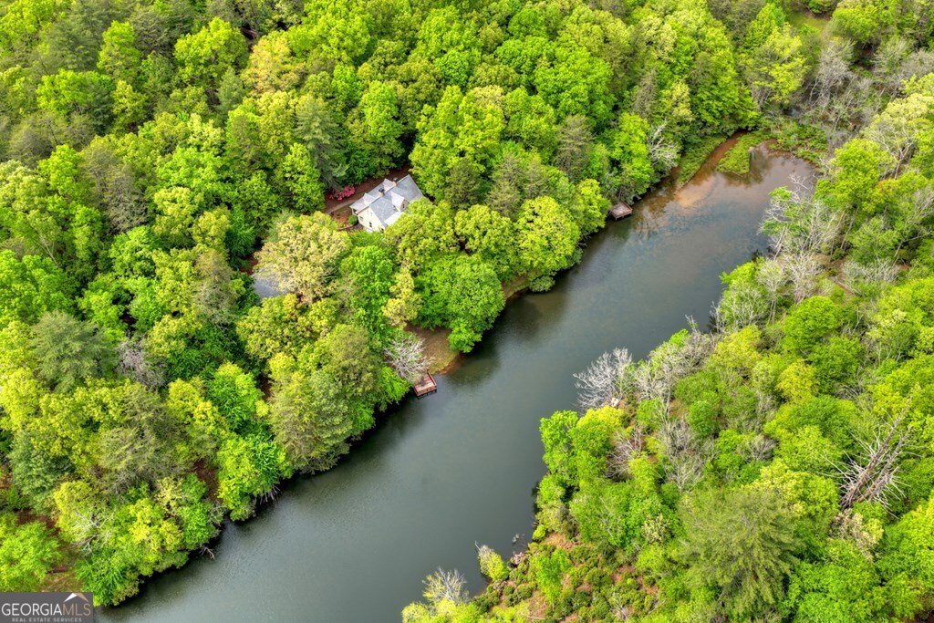 354 Kaely Drive Mineral Bluff - Photo 64