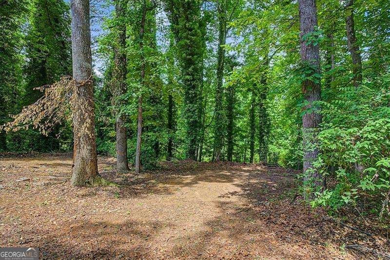 1583 Fieldgreen Overlook Stone Mountain - Photo 35