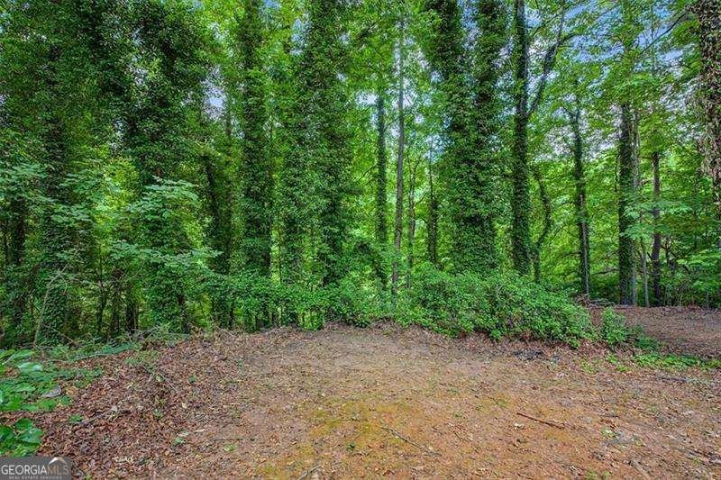 1583 Fieldgreen Overlook Stone Mountain - Photo 36