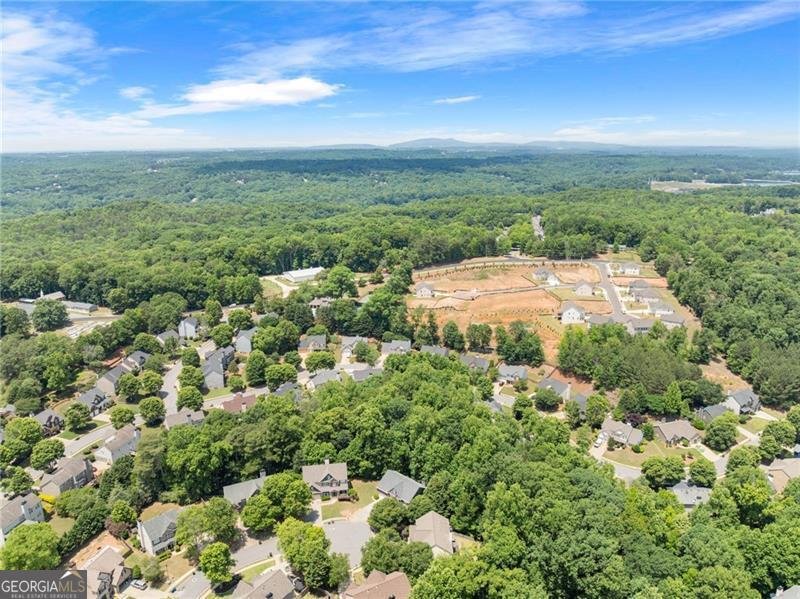 1000 Island Bluf Lane Buford - Photo 25