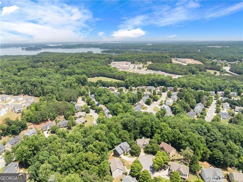 1000 Island Bluf Lane Buford - Photo 28