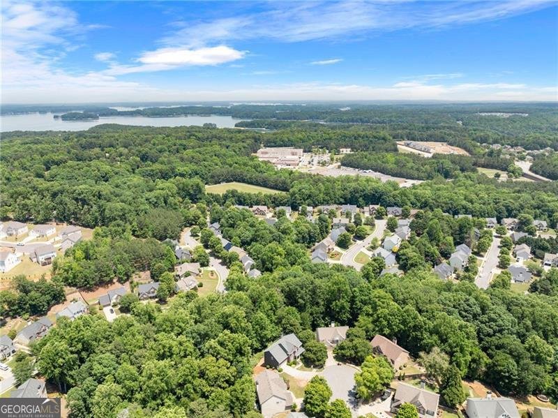 1000 Island Bluf Lane Buford - Photo 29