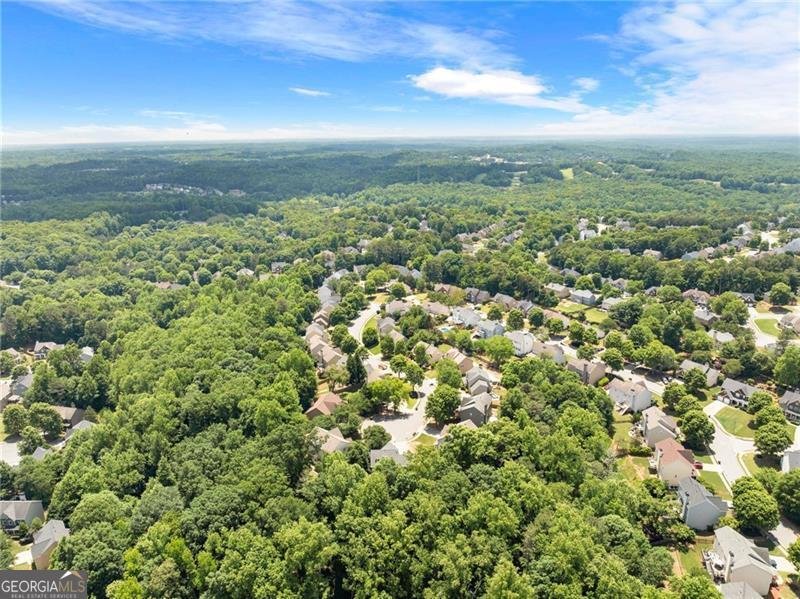 1000 Island Bluf Lane Buford - Photo 31