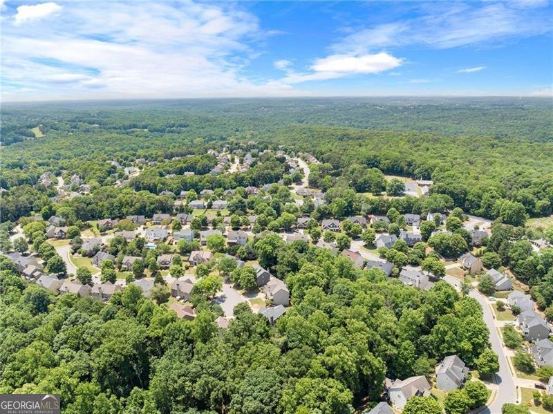 1000 Island Bluf Lane Buford - Photo 32