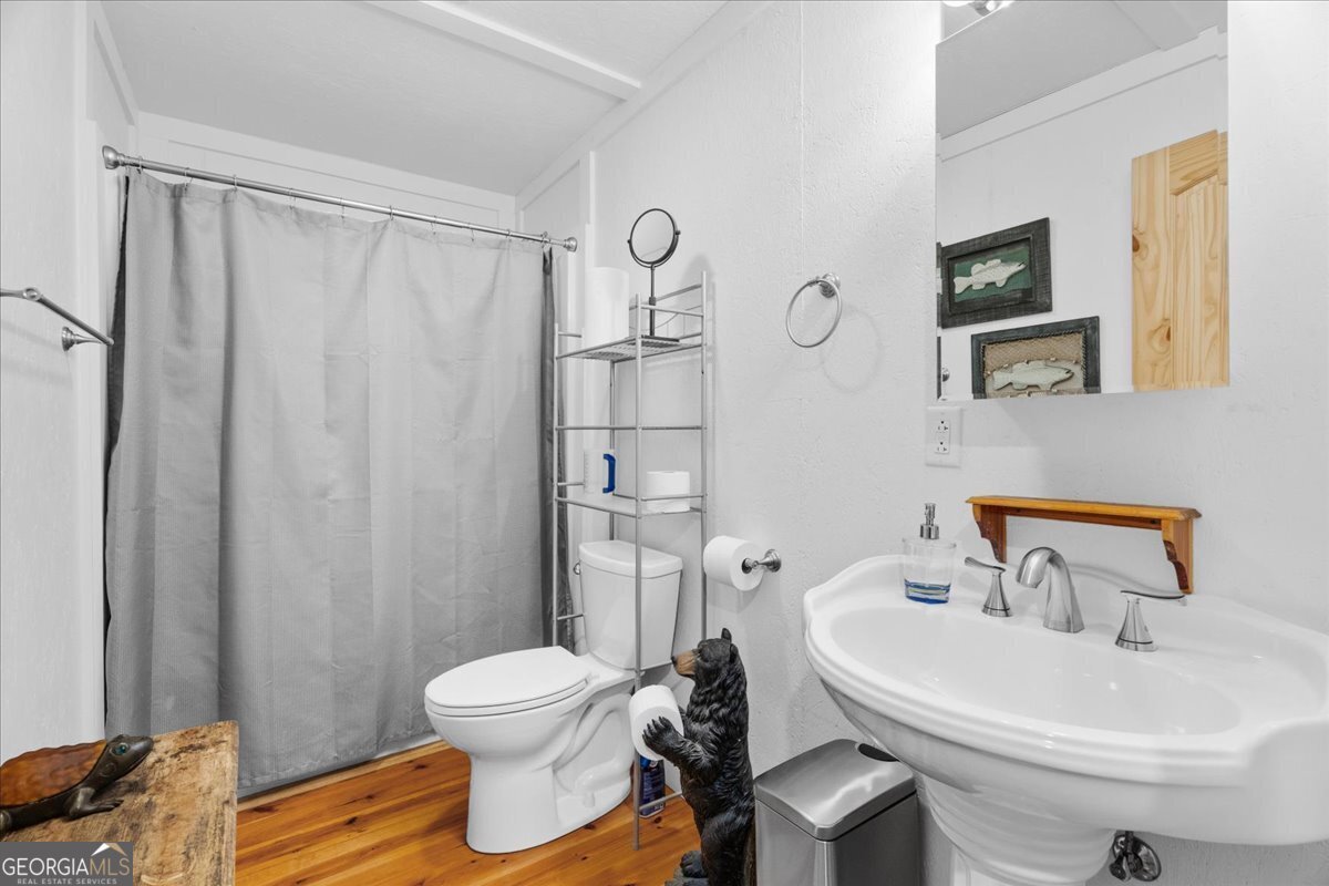 393 Blue Mountain Lane Trion - Photo 21