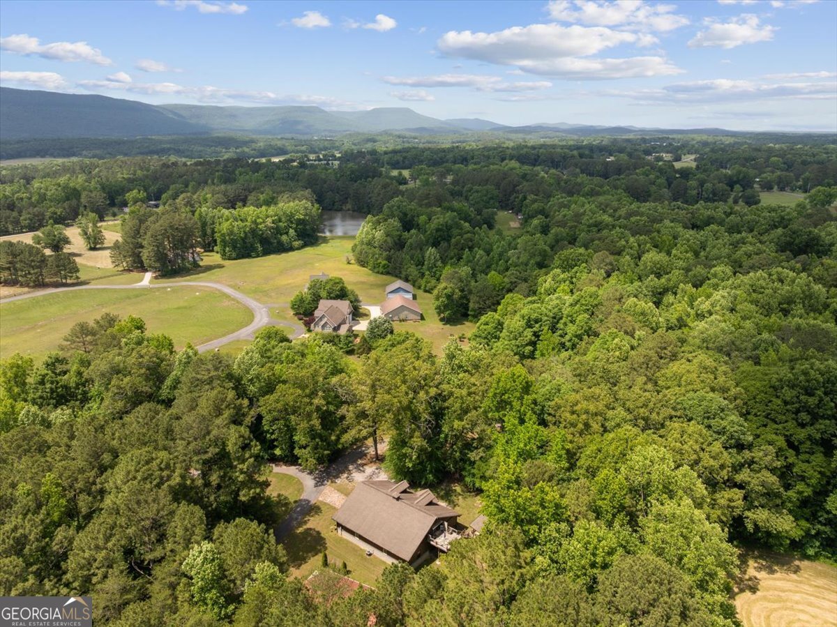 393 Blue Mountain Lane Trion - Photo 31