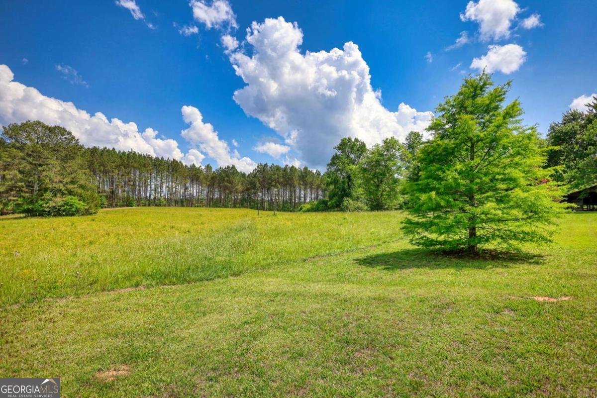 2643 Macedonia Road Franklin - Photo 54