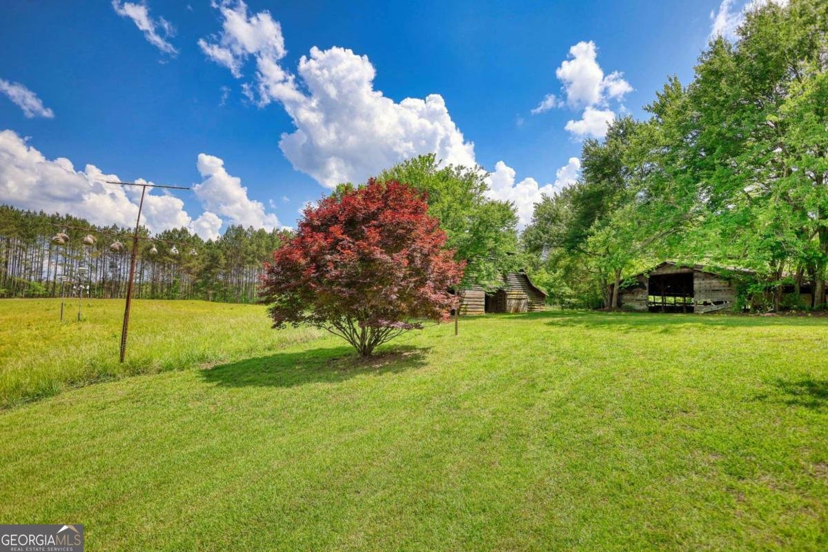 2643 Macedonia Road Franklin - Photo 55