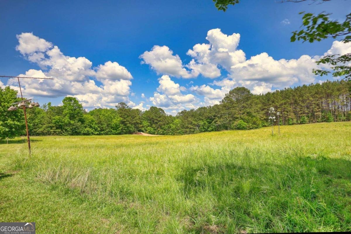 2643 Macedonia Road Franklin - Photo 56