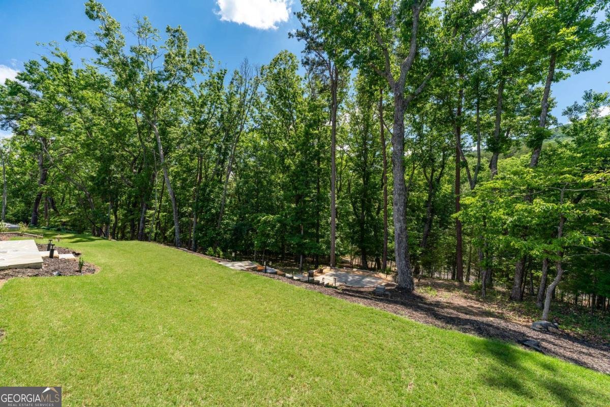 332 Cherokee Drive Waleska - Photo 43