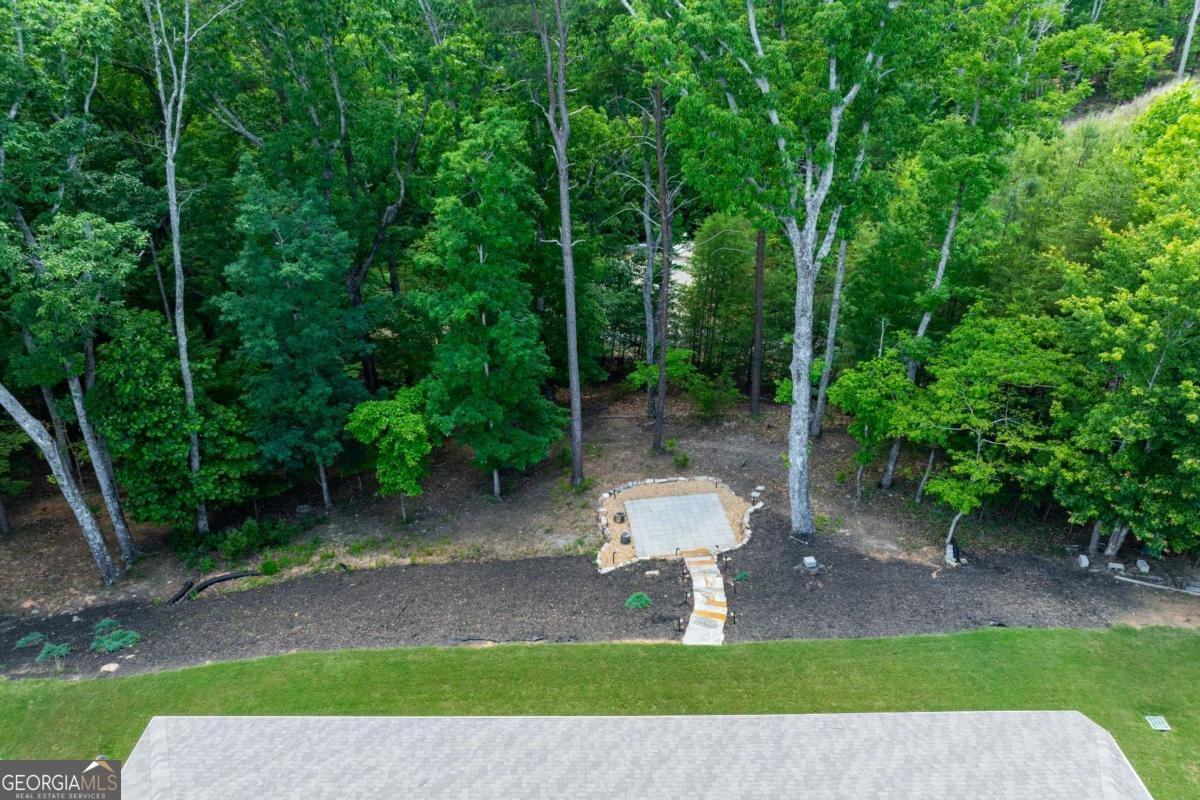 332 Cherokee Drive Waleska - Photo 49