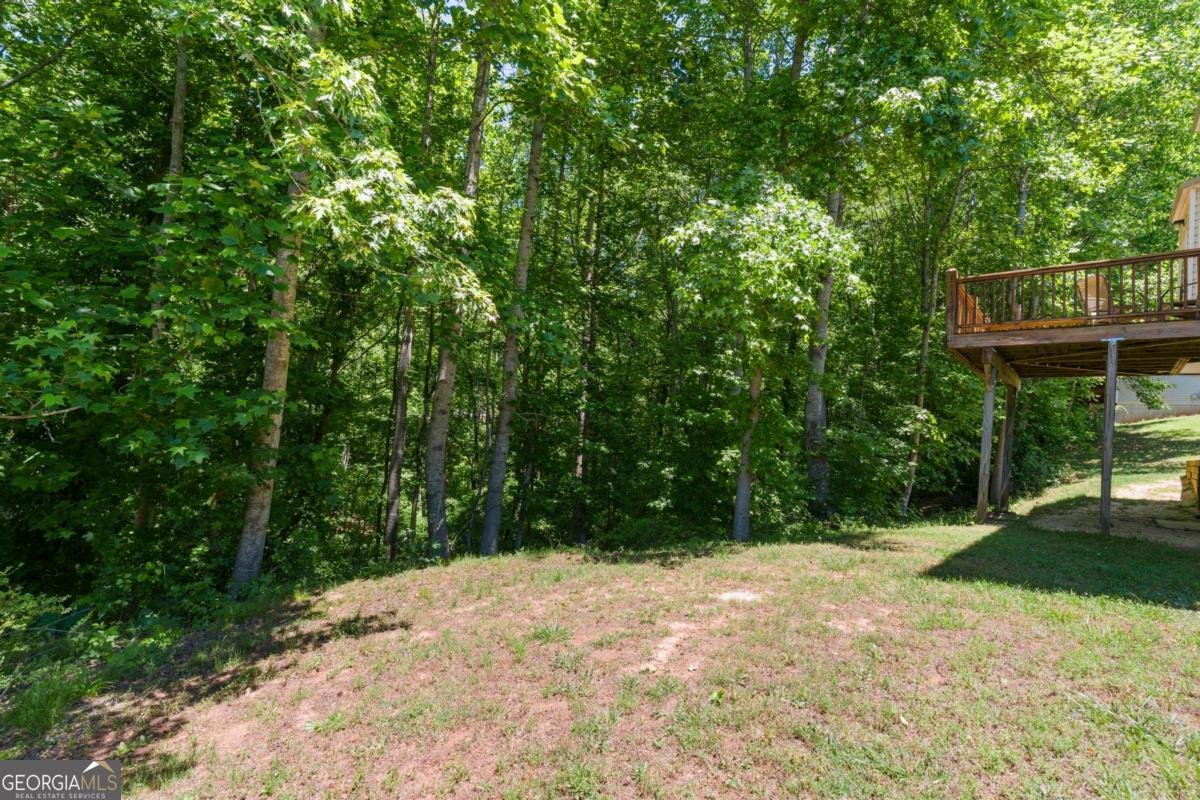 4860 Meadow Overlook Drive Cumming - Photo 38