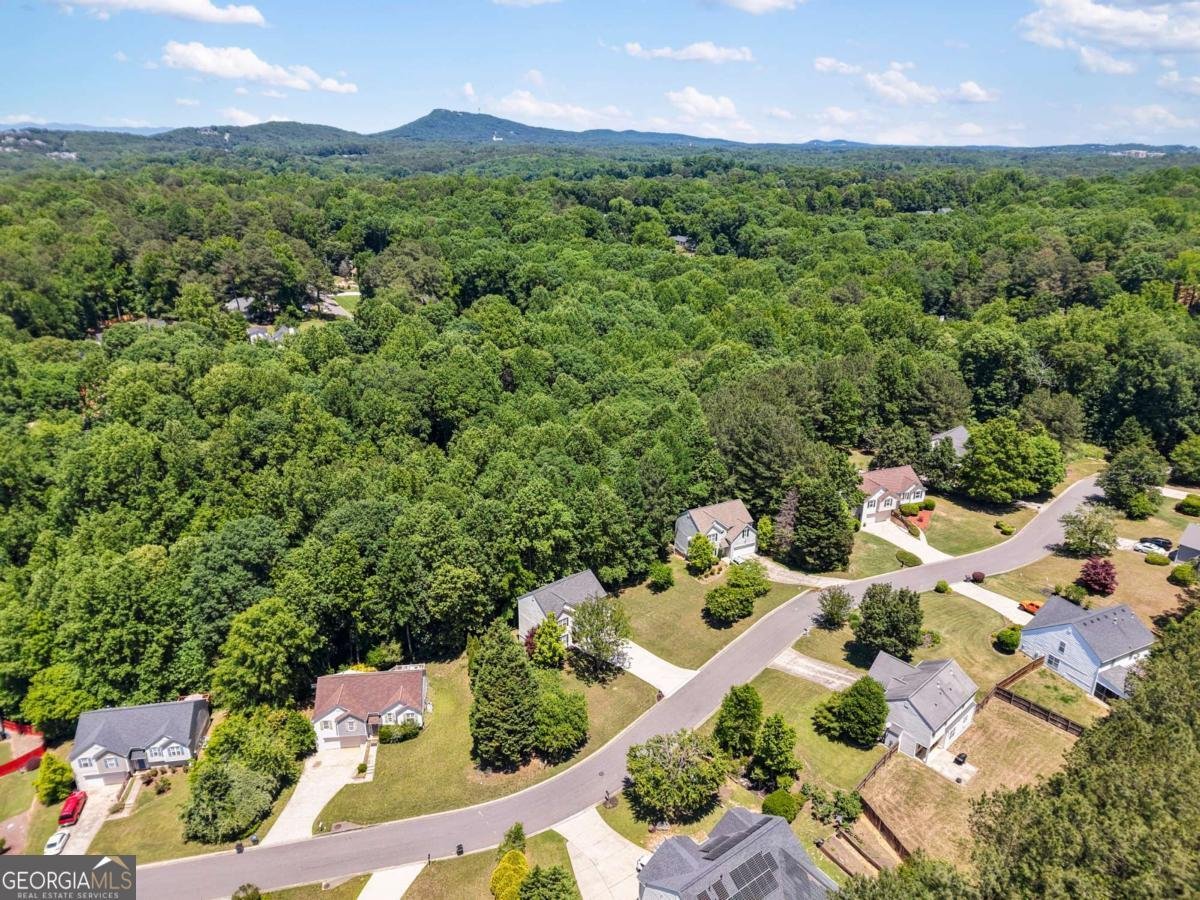 4860 Meadow Overlook Drive Cumming - Photo 42