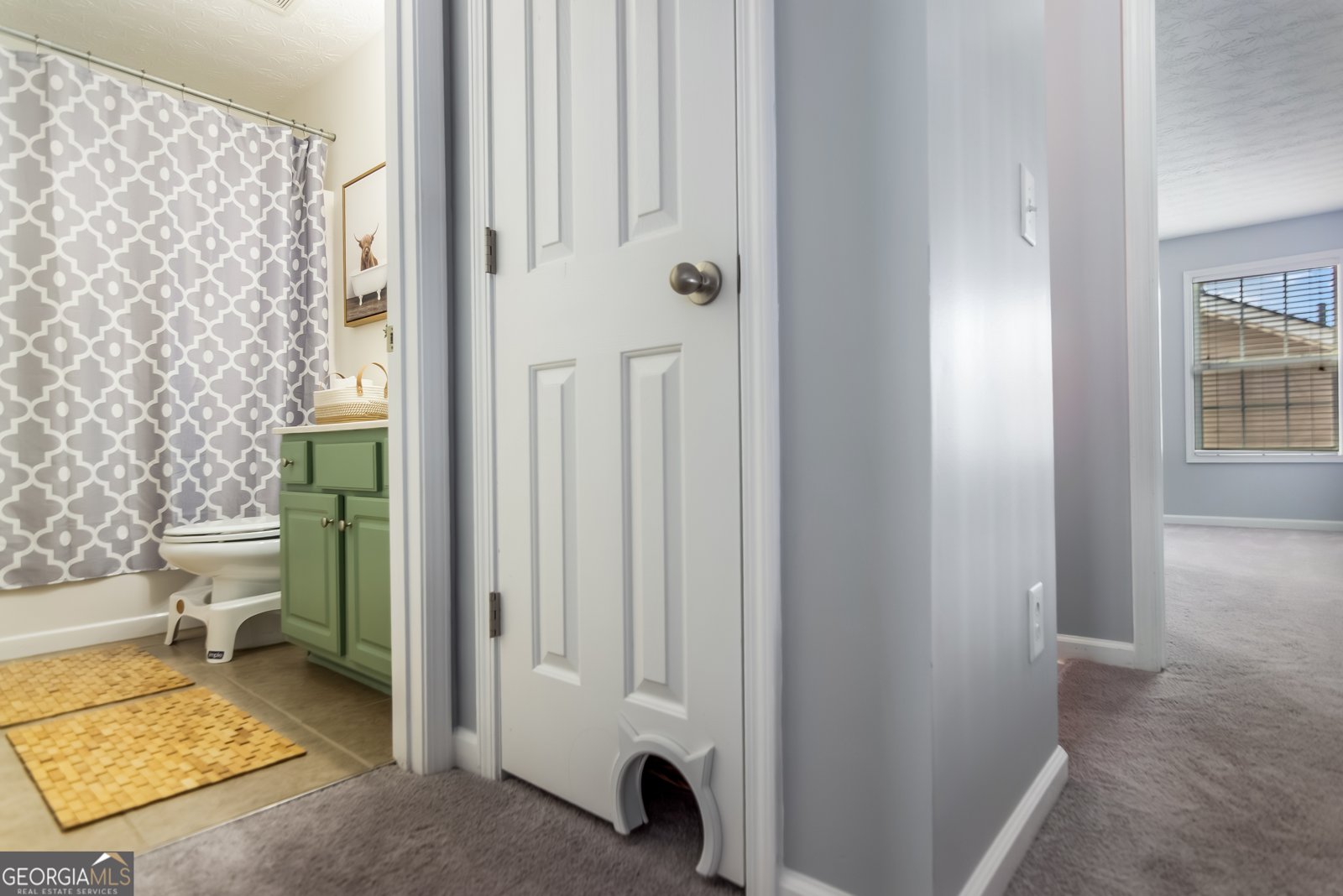 129 Village Drive Canton - Photo 43