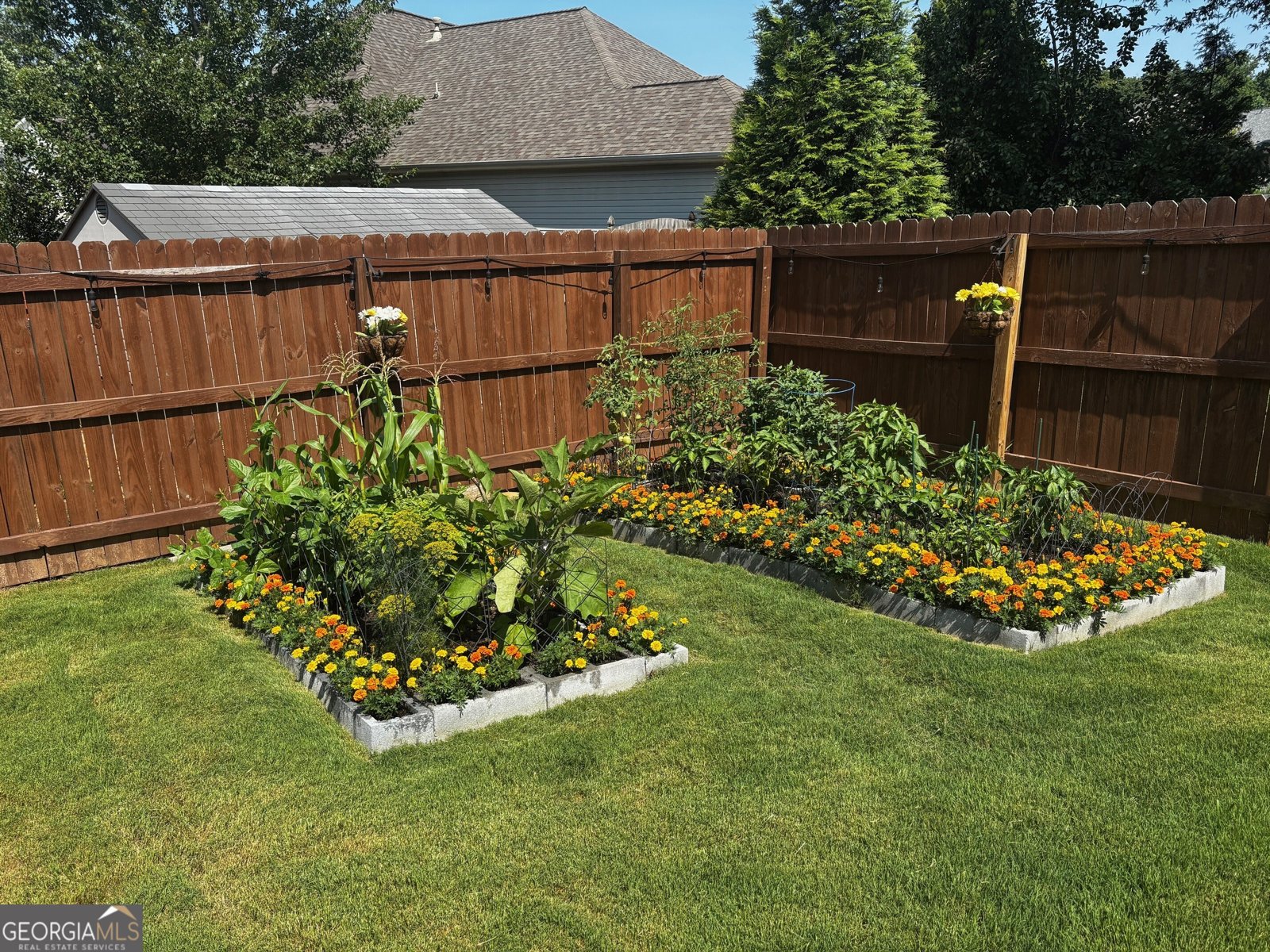 129 Village Drive Canton - Photo 50