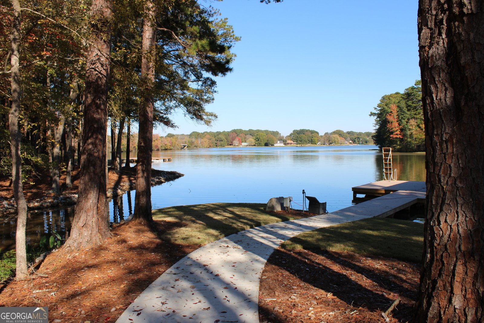 1731 Blue Springs Road Buckhead - Photo 7